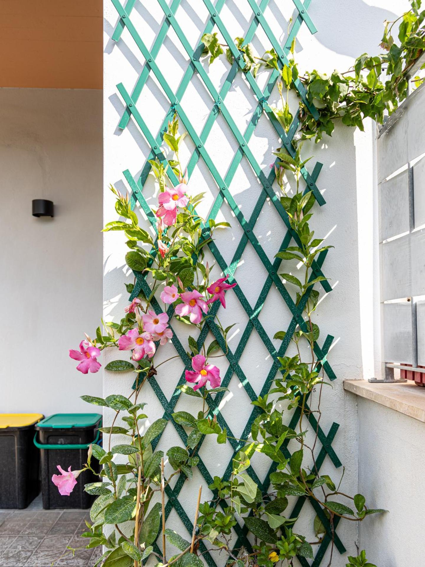 Mrb Real Estate - Maison Ludovica - Monolocale Moderno Con Giardino Frattocchie Exteriér fotografie